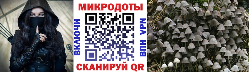 Псилоцибиновые грибы мухоморы  Тбилисская 